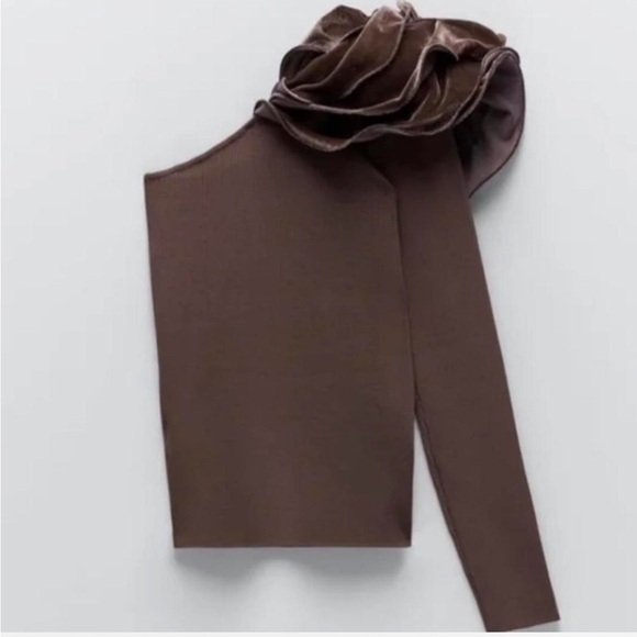 Zara One Shoulder Asymmetrical Brown Top With Velvet Floral Embellishment Medium - Picture 3 of 5